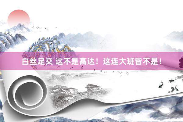 白丝足交 这不是高达!这连大班皆不是!