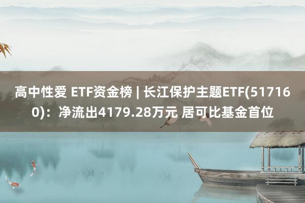 高中性爱 ETF资金榜 | 长江保护主题ETF(517160)：净流出4179.28万元 居可比基金首位