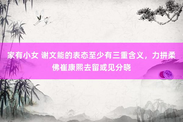 家有小女 谢文能的表态至少有三重含义，力拼柔佛崔康熙去留或见分晓