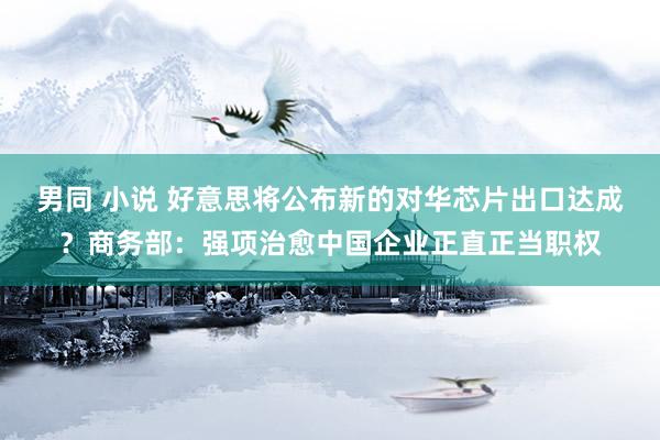 男同 小说 好意思将公布新的对华芯片出口达成？商务部：强项治愈中国企业正直正当职权