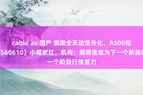 cable av 国产 阛阓全天动荡分化，A500指数ETF（560610）小幅收红，机构：阛阓连续为下一个阶段行情蓄力