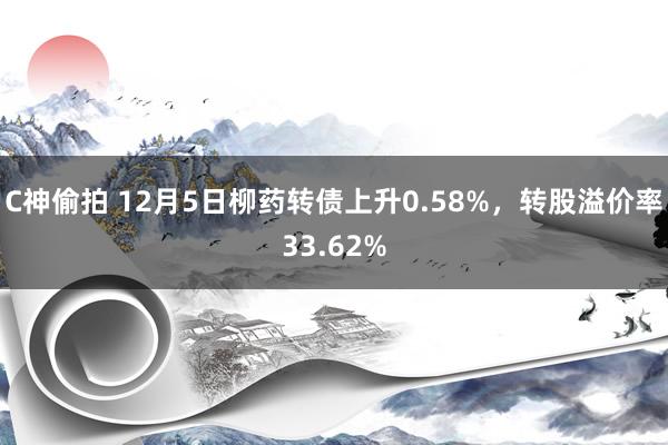 C神偷拍 12月5日柳药转债上升0.58%，转股溢价率33.62%