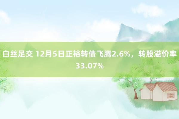 白丝足交 12月5日正裕转债飞腾2.6%，转股溢价率33.07%