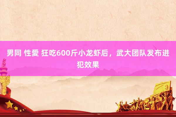 男同 性愛 狂吃600斤小龙虾后，武大团队发布进犯效果