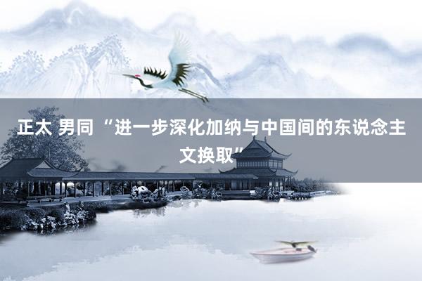 正太 男同 “进一步深化加纳与中国间的东说念主文换取”