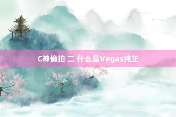 C神偷拍 二 什么是Vegas纯正