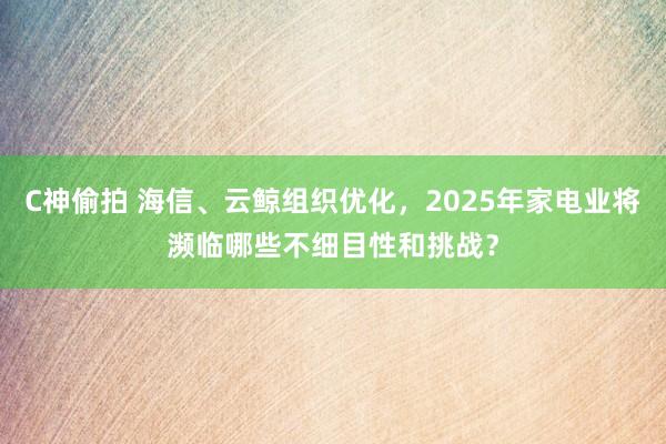C神偷拍 海信、云鲸组织优化，2025年家电业将濒临哪些不细目性和挑战？