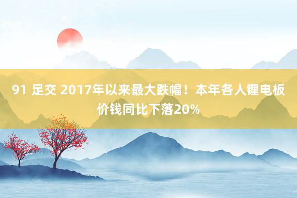 91 足交 2017年以来最大跌幅！本年各人锂电板价钱同比下落20%