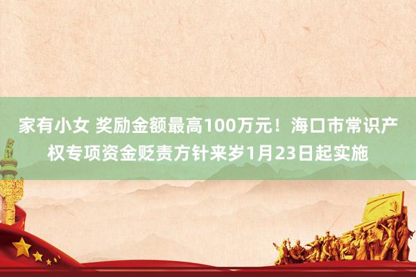 家有小女 奖励金额最高100万元！海口市常识产权专项资金贬责方针来岁1月23日起实施