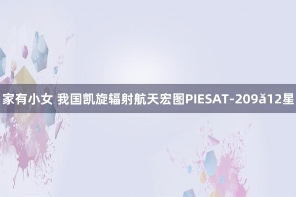 家有小女 我国凯旋辐射航天宏图PIESAT-209ă12星