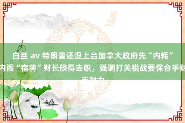 白丝 av 特朗普还没上台加拿大政府先“内耗”：内阁“宿将”财长倏得去职，强调打关税战要保合手财力