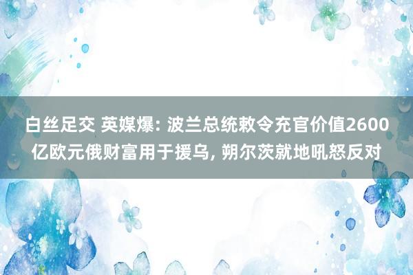 白丝足交 英媒爆: 波兰总统敕令充官价值2600亿欧元俄财富用于援乌， 朔尔茨就地吼怒反对