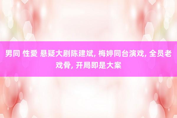 男同 性愛 悬疑大剧陈建斌， 梅婷同台演戏， 全员老戏骨， 开局即是大案