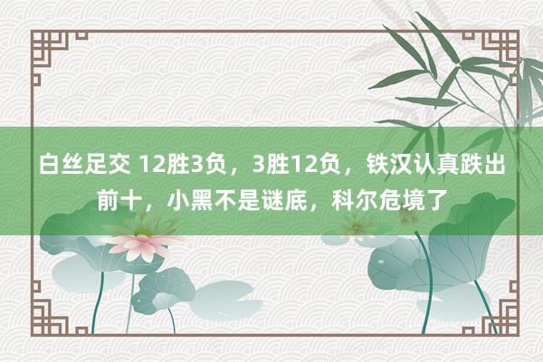 白丝足交 12胜3负，3胜12负，铁汉认真跌出前十，小黑不是谜底，科尔危境了