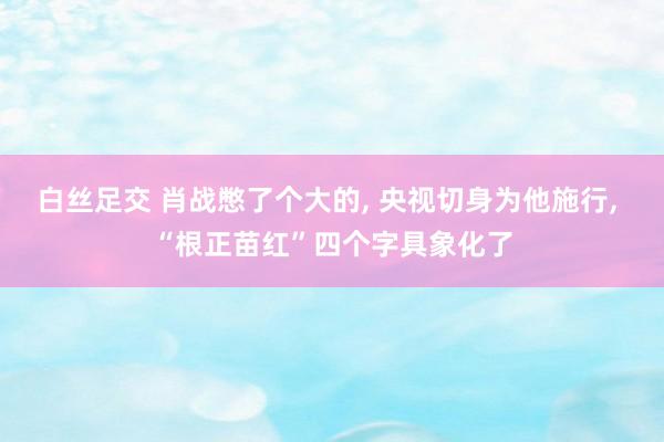 白丝足交 肖战憋了个大的， 央视切身为他施行， “根正苗红”四个字具象化了