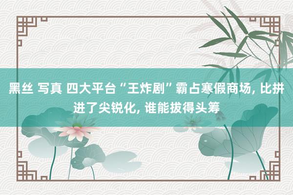 黑丝 写真 四大平台“王炸剧”霸占寒假商场， 比拼进了尖锐化， 谁能拔得头筹