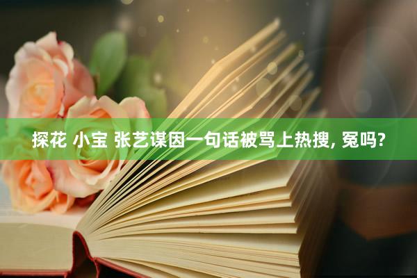 探花 小宝 张艺谋因一句话被骂上热搜， 冤吗?
