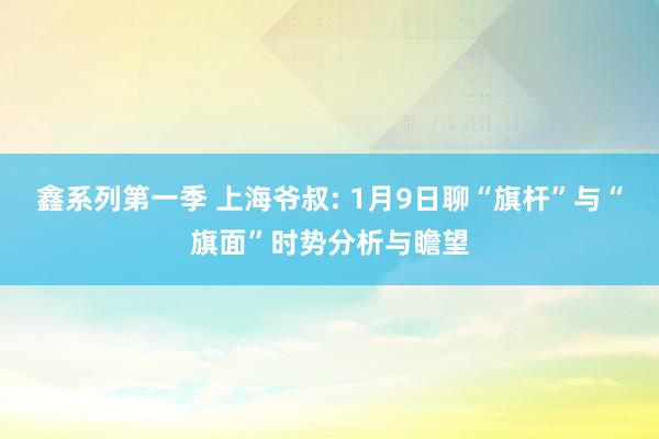 鑫系列第一季 上海爷叔: 1月9日聊“旗杆”与“旗面”时势分析与瞻望