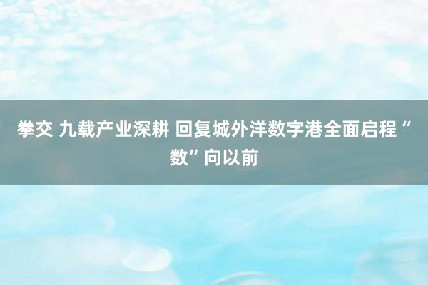 拳交 九载产业深耕 回复城外洋数字港全面启程“数”向以前
