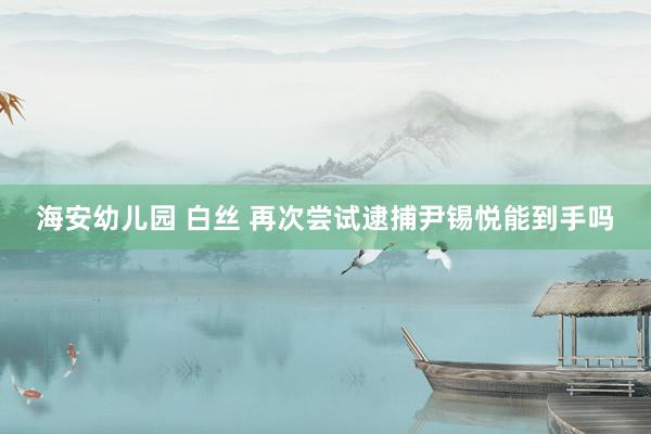 海安幼儿园 白丝 再次尝试逮捕尹锡悦能到手吗