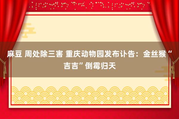 麻豆 周处除三害 重庆动物园发布讣告：金丝猴“吉吉”倒霉归天