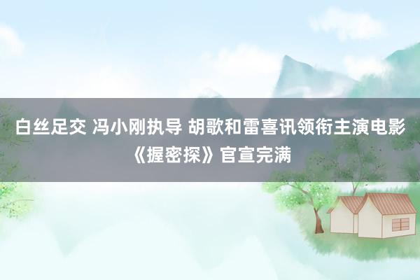 白丝足交 冯小刚执导 胡歌和雷喜讯领衔主演电影《握密探》官宣完满