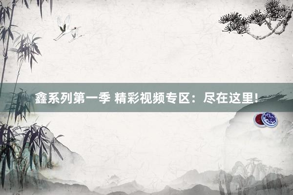 鑫系列第一季 精彩视频专区：尽在这里!