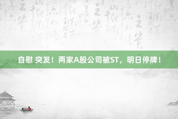 自慰 突发！两家A股公司被ST，明日停牌！