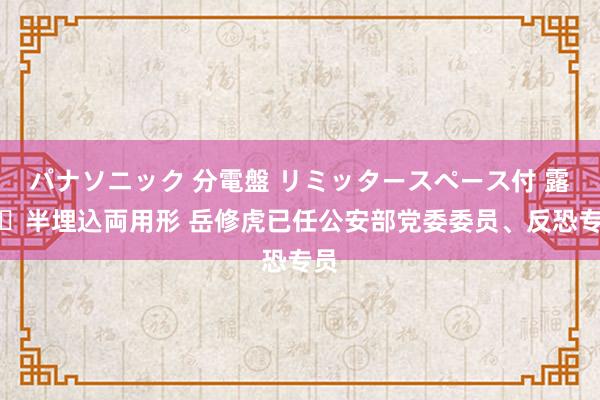 パナソニック 分電盤 リミッタースペース付 露出・半埋込両用形 岳修虎已任公安部党委委员、反恐专员