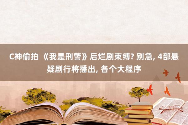 C神偷拍 《我是刑警》后烂剧束缚? 别急， 4部悬疑剧行将播出， 各个大程序