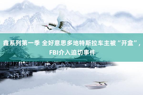 鑫系列第一季 全好意思多地特斯拉车主被“开盒”, FBI介入迫切事件