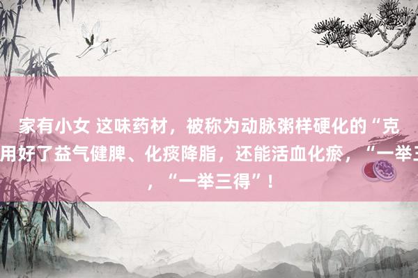 家有小女 这味药材，被称为动脉粥样硬化的“克星”，用好了益气健脾、化痰降脂，还能活血化瘀，“一举三得”！