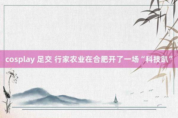 cosplay 足交 行家农业在合肥开了一场“科技趴”