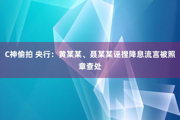 C神偷拍 央行：黄某某、聂某某诬捏降息流言被照章查处