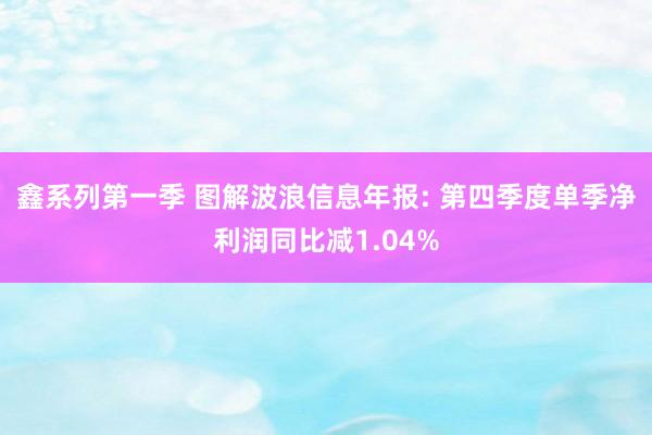 鑫系列第一季 图解波浪信息年报: 第四季度单季净利润同比减1.04%
