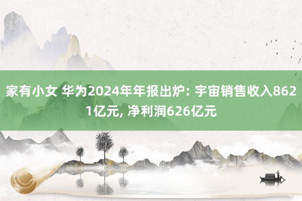 家有小女 华为2024年年报出炉: 宇宙销售收入8621亿元， 净利润626亿元