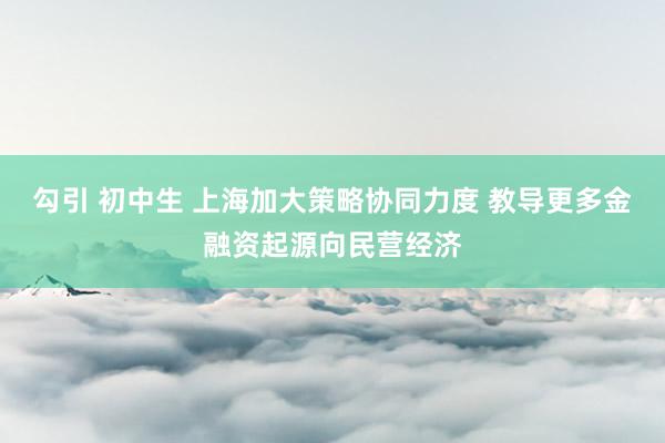 勾引 初中生 上海加大策略协同力度 教导更多金融资起源向民营经济