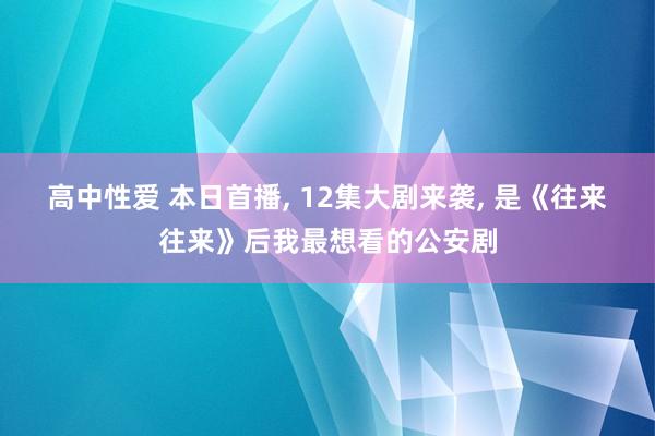 高中性爱 本日首播， 12集大剧来袭， 是《往来往来》后我最想看的公安剧