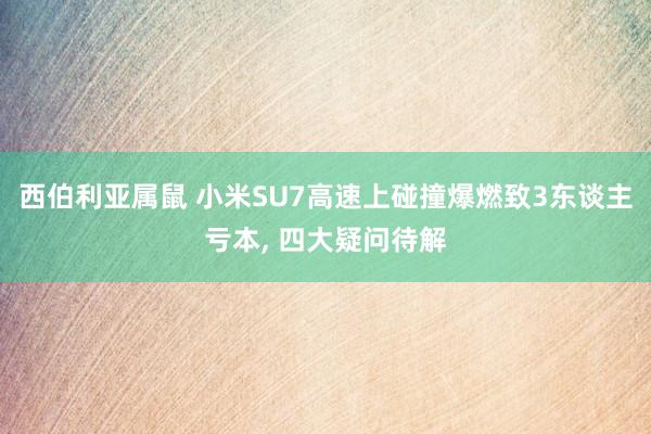 西伯利亚属鼠 小米SU7高速上碰撞爆燃致3东谈主亏本， 四大疑问待解