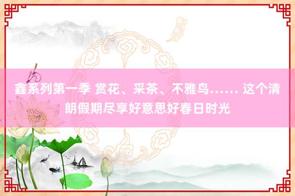 鑫系列第一季 赏花、采茶、不雅鸟…… 这个清朗假期尽享好意思好春日时光
