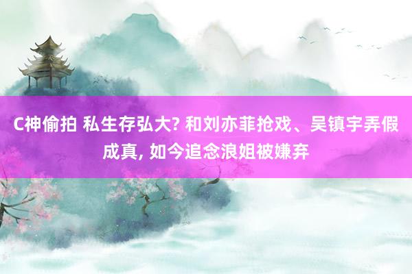 C神偷拍 私生存弘大? 和刘亦菲抢戏、吴镇宇弄假成真， 如今追念浪姐被嫌弃
