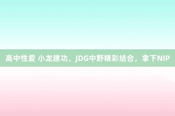 高中性爱 小龙建功，JDG中野精彩结合，拿下NIP