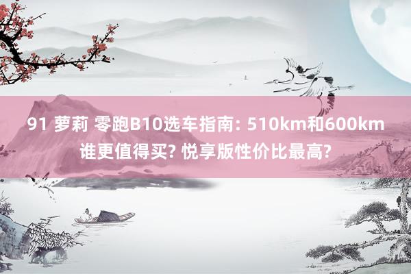 91 萝莉 零跑B10选车指南: 510km和600km谁更值得买? 悦享版性价比最高?