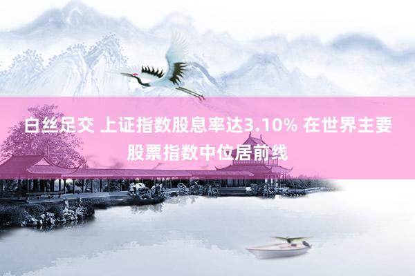 白丝足交 上证指数股息率达3.10% 在世界主要股票指数中位居前线