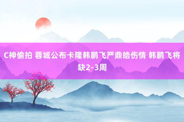 C神偷拍 蓉城公布卡隆韩鹏飞严鼎皓伤情 韩鹏飞将缺2-3周