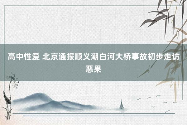 高中性爱 北京通报顺义潮白河大桥事故初步走访恶果