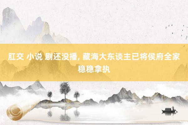 肛交 小说 剧还没播, 藏海大东谈主已将侯府全家稳稳拿执